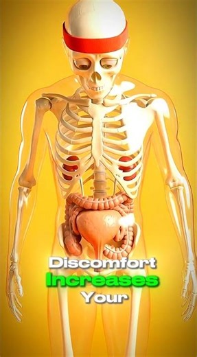 What happens when you don't pee for 24 hours?