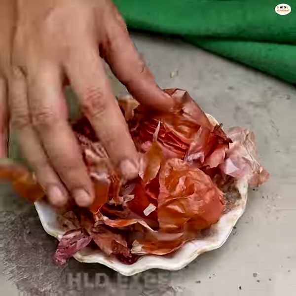 603K views · 7.5K reactions | How to Use of onion peel for plants | Best natural fertilizer for any plants | by Hld Experiment | HLD Experiment | Facebook