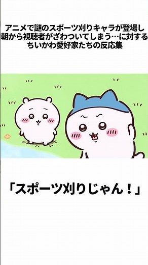 アニメで謎のスポーツ刈りキャラが登場し、朝から視聴者がざわついてしまう…に対する ちいかわ愛好家たちの反応集【アニメ最新話 305話②】