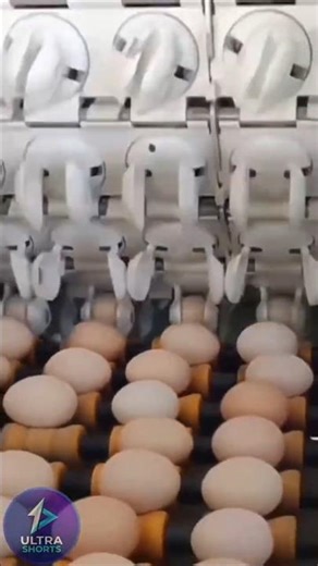 Mind Blowing Machines You WONT BELIEVE 🏭⚙️ #satisfying #asmr #shorts