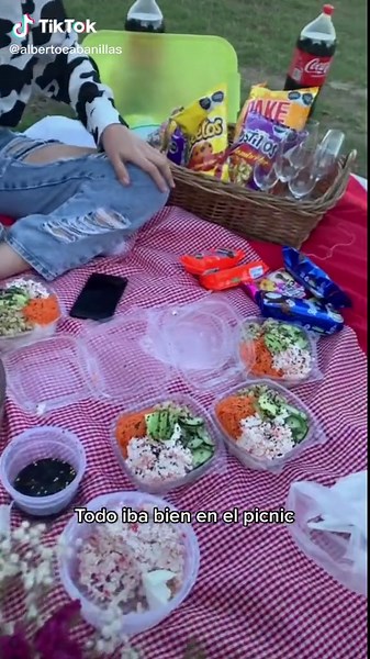 Enjoying a Picnic: Unexpected Fun with Friends