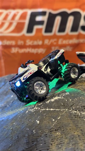 Review of the Mini RC 4-Wheeler ATV