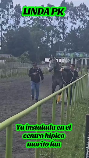 LA LINDA PK YA SE ENCUENTRA EN EL GRAN CENTRO HIPICO MORITO FAN ... ESTE FINDE SEMANA SERA UNA FIESTA SEÑORES 🏆 | Carrerista Sureño Matii Escobar