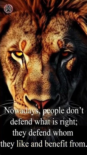 Takes Lions Courage To Defend what is right! 🦁🔥 (extended version).