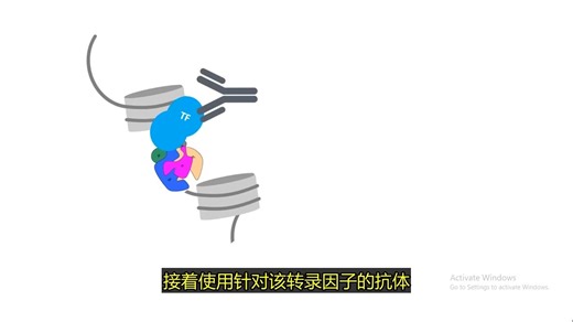 ChIP-seq：染色质免疫沉淀测序技术