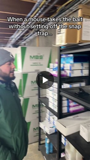 #pestcontrol #debugpestcontrol #socialmediacontent #marketingteam #workhumor | Debug Pest Control - RI, CT, MASS