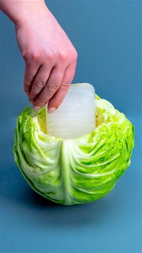 appetizing.tv on Instagram: "What I did with the cabbage is pure madness! Ingredients cabbage: 1 pc onion: 1 pc carrot: 1 pc garlic: 5 g (0.2 oz) eggs: 2 pc black pepper: 2 g (0.1 oz) salt: 3 g (0.1 oz) chili flakes: 1 g (0.0 oz) oregano: 1 g (0.0 oz) flour: 120 g (4.2 oz) butter: 30 g (1.1 oz) vegetable oil: 5 ml (0.2 fl oz) Additionally mayonnaise: 200 g (7.1 oz) Dijon mustard: 15 g (0.5 oz) lemon: 1 pc dill: 5 g (0.2 oz)"