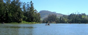 98 Ooty Tour Packages at ₹4500 pp - Lowest Price Online   20% Off