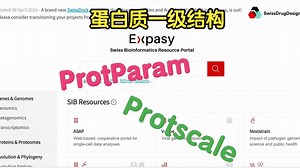 如何ProtParam和Protscale预测蛋白质的一级结构？