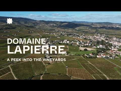 Domaine Lapierre | Beaujolais, France 🇫🇷