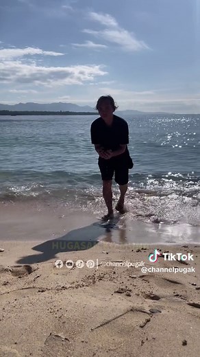 Talisay Tree: Edible Nuts and Cultural Significance in Asia