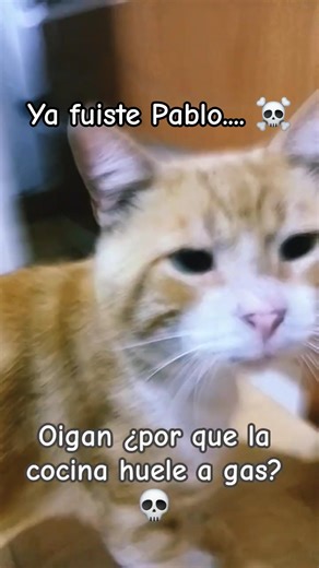 La cocina del infierno ☠️🔥 #humor #shorts