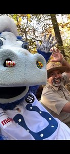 LET’S RUN IT BACK | Blue Indianapolis Colts Mascot