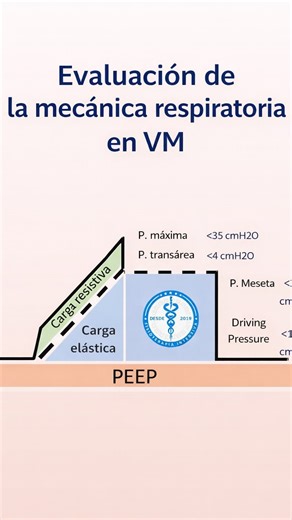 Evaluación de la mecánica respiratoria en ventilación mecánica 🫁⚙️ Clave para entender cómo se comporta el pulmón y si realmente estamos ventilando de forma protectora. Evaluar parámetros como presión máxima, transaérea, meseta, PEEP, driving pressure y compliance, así como el componente resistivo (vía aérea) y el componente elástico (pulmón y pared torácica), nos permite ajustar el ventilador, prevenir lesión pulmonar inducida por ventilación y optimizar la atención del paciente crítico. La me
