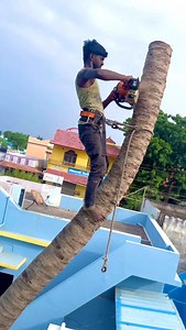 12K views · 418 reactions | 8610339350 | Tree Cutter Suyambu | Facebook