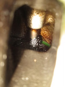 A Comprehensive Guide to In-Car Valve Stem Seal...