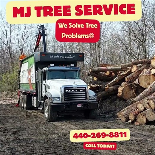 We Solve Tree Problems®