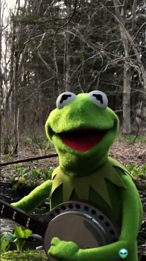 Something to Brighten the Day - Rainbow Connection by Kermit #muppets #banjo