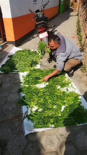 Hong Kong Shipment Services - Contact AgCargo