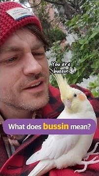 What does ‘bussin’ mean?