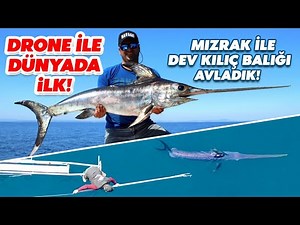 We Catch Giant Swordfish With Spear / Swordfish Harpooning Drone Footage