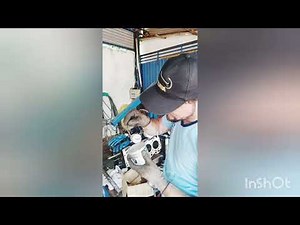 Reparación de Motor Kia Pregio Diésel