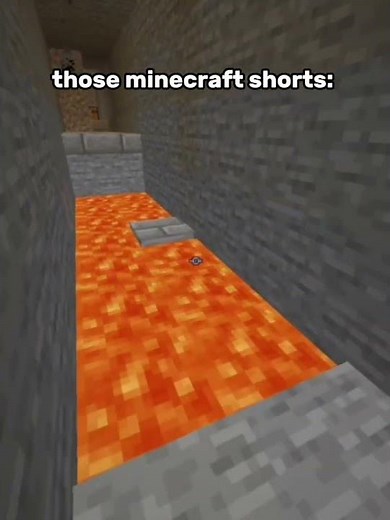 POV: Those Minecraft Shorts (Don’t Click the Sound)