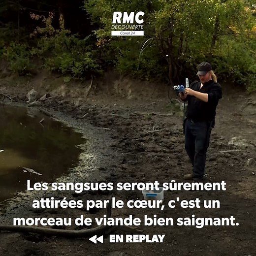 ⏮️ #REPLAYRMCD 🏔️ (Re)Découvrez les aventures d'une famille pas comme les autres qui a décidé de vivre en totale autonomie en Alaska : les Brown ! 💻 Les Brown, génération Alaska, en replay sur RMC Découverte et RMC BFM PLAY 👉 https://bit.ly/3KYPgh9 | RMC Découverte