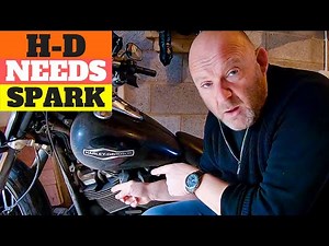 Harley Davidson Things To Look For | M8 Softails | When To Change Spark Plugs