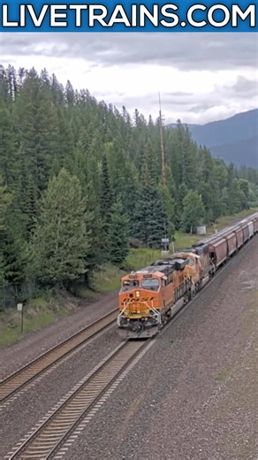 19K views · 467 reactions | Out Now for Streaming for Premium Members only is Essex, Montana! make sure to check it out! | LiveTrains.com | Facebook