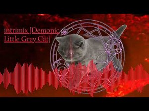 vivivivivi- demonic little grey cat theme song [intrimix (intrilox cover/remix)]