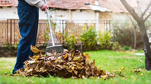 Denver leaf composting: Free sites open this fall