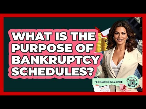 What Is The Purpose Of Bankruptcy Schedules?