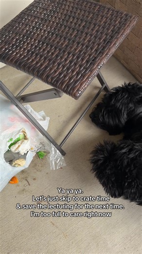 Storm's Hilarious First Trash Adventure