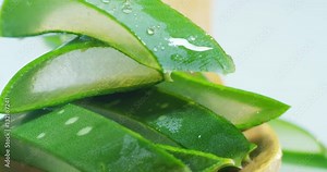 Composition of aloe vera. Concept of beauty cream derived from Aloe, natural medicine and care for the body due to its therapeutic properties, lifting, rejuvenation and Nature