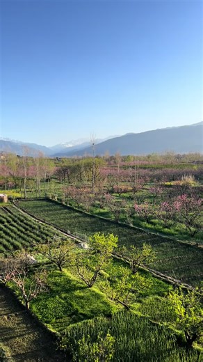 ❤️ #foryou #ictmrbullet #ict #trading #forex #ictstudent #forextrading #100k