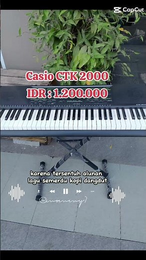 Casio CTK 2000