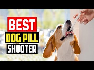 ✅Top 5 Best Dog Pill Shooter in 2025