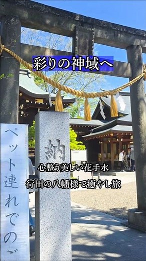 【大人の絶景ツーリング】美しすぎる花手水と祈りの杜。行田八幡神社で心洗われる休日🌿 #shorts
