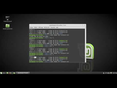 Initiation au terminal linux | Leçon 4 - Permissions sur les fichiers et répertoires