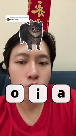Maxwell the Cat: The Funniest Filter Challenge