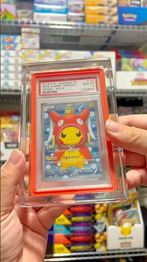 Pikachu Poncho Magikarp Gradedguard x Phantom Display Case #pokemonpsa #pokemongrading #pokemon