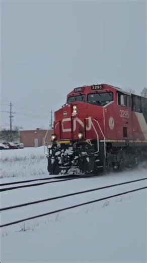 CN M399 By Ingersoll