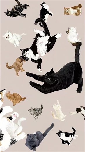 Cat Lover Scarf | Rosie, Guardian of Love & Style | Eco-Friendly Gift