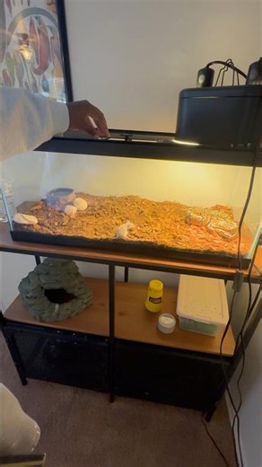 GOT YO AHH ‼️😂 #viral #trending