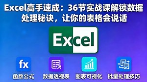 【25新版】Excel高手速成：36节实战课，从零基础到高阶，让你的表格会说话-涵盖：函数、数据透视表，数据可视化等内容