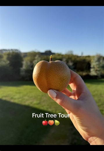 Explore Our Thriving Orchard Tour Experience
