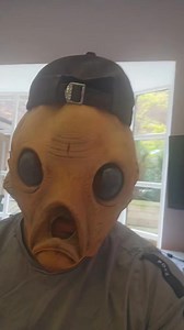 91K views · 1.5K reactions | Travelling Dad you better be training hard. #nottodaysharky #viralreelsシ | Wrong Guys Reviews | Facebook