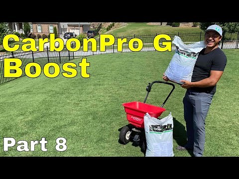 [CARBON PRO G] How to [FIX an UGLY LAWN] | Golf Course Lawn RENOVATION