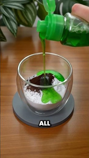 How to get rid of all the flies in your home in seconds #housetips